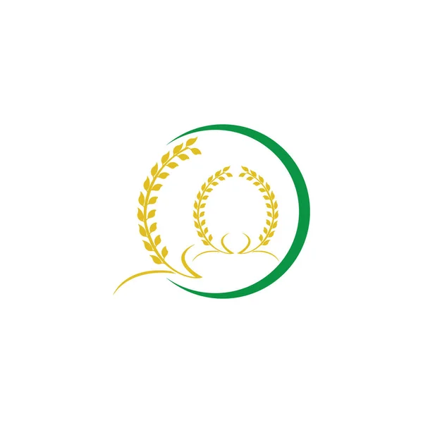 Landbrug hvede logo skabelon vektor ikon design - Stock-foto
