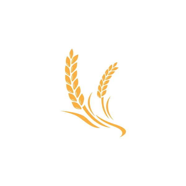 Landwirtschaft Weizen Logo Vorlage Vektor Icon Design — Stockfoto