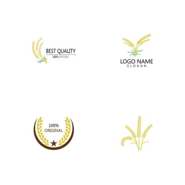 Agriculture wheat Logo Template vector icon design — Stock Photo, Image