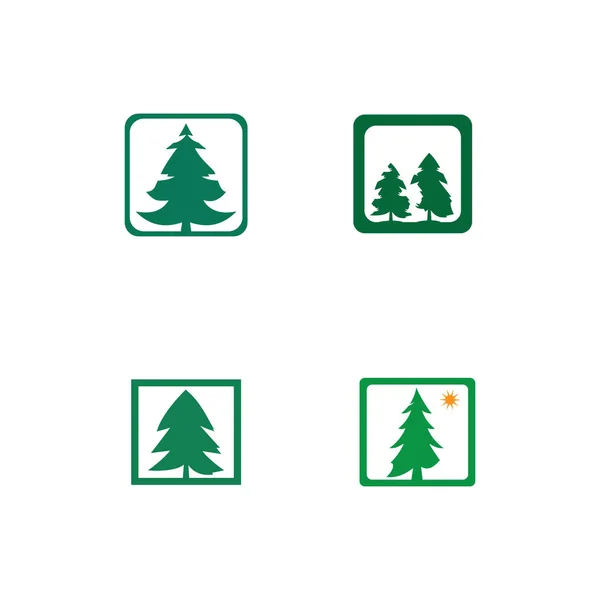 Árvore de pinho logotipo ilustração design vetor — Fotografia de Stock