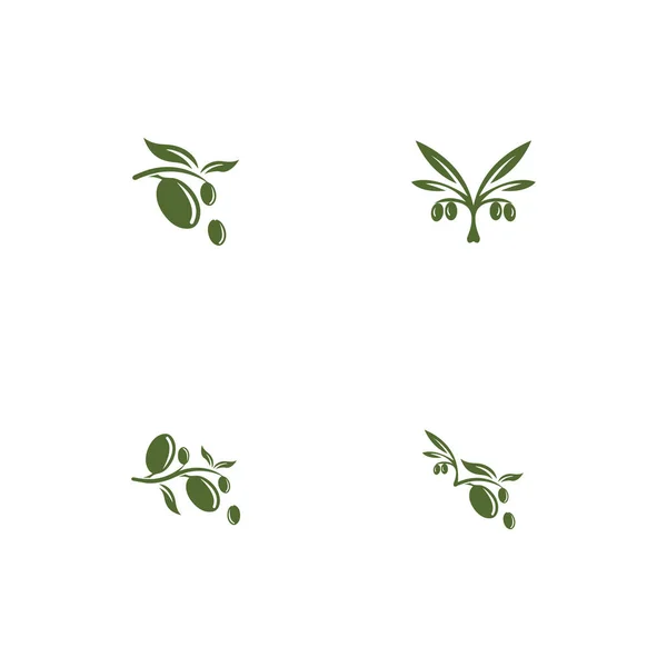 橄榄标识模板矢量图标设计 — 图库照片