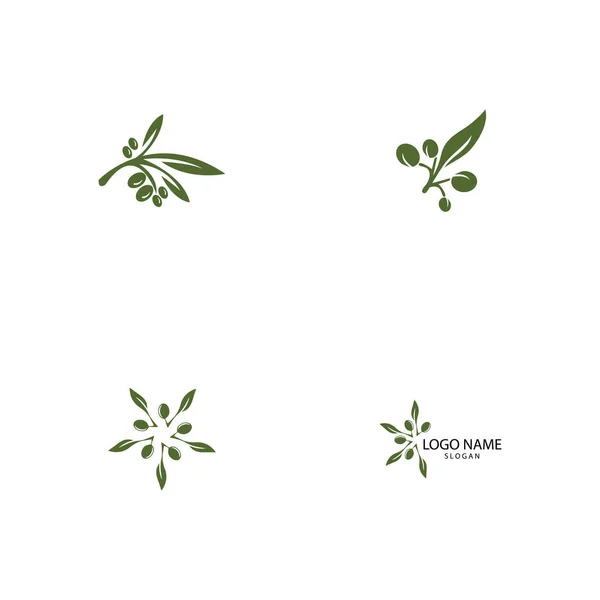 Olive logotyp mall vektor ikon illustration design — Stockfoto