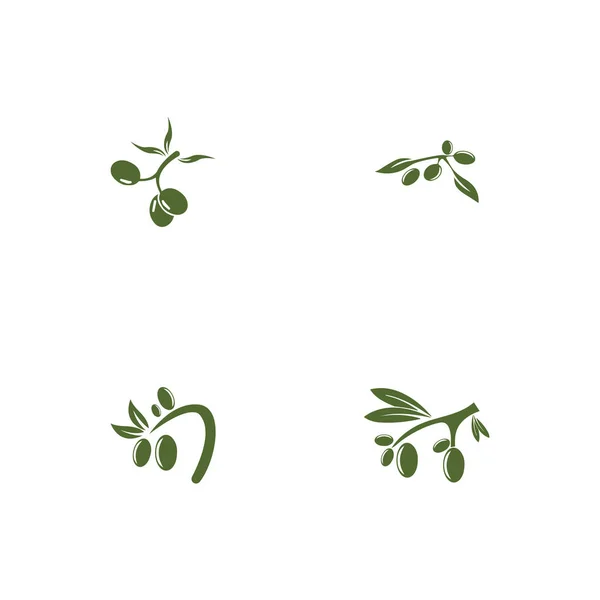 Olive logotyp mall vektor ikon illustration design — Stockfoto