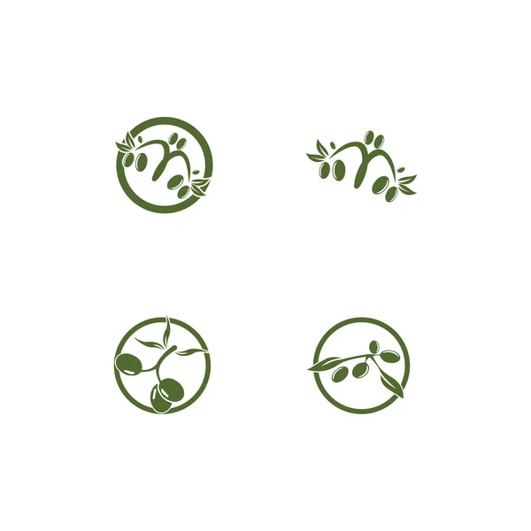 Оливковий шаблон логотипу Векторний дизайн ілюстрації — стокове фото
