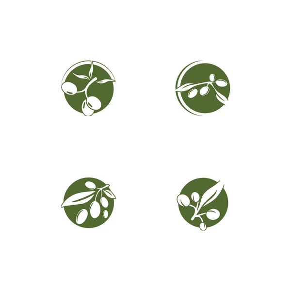 橄榄标识模板矢量图标设计 — 图库照片