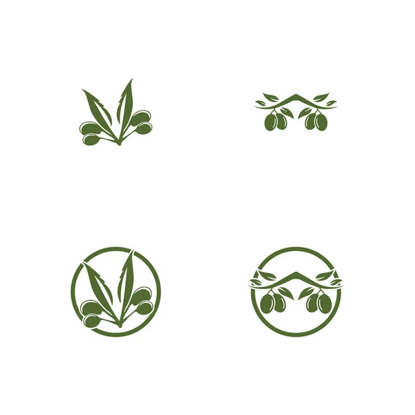 Olive Logo Vorlage Vektor Symbol Illustration Design — Stockfoto