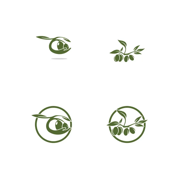 Olive logo template vector pictogram illustratie ontwerp — Stockfoto