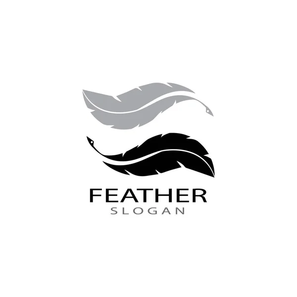 Plantillas de vector de logotipo de pluma — Foto de Stock