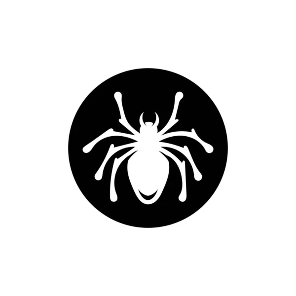 Modèle vectoriel de logo d'ilustration d'araignée — Photo