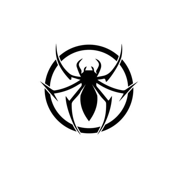 Modelo do vetor do logotipo da ilustração da aranha — Fotografia de Stock