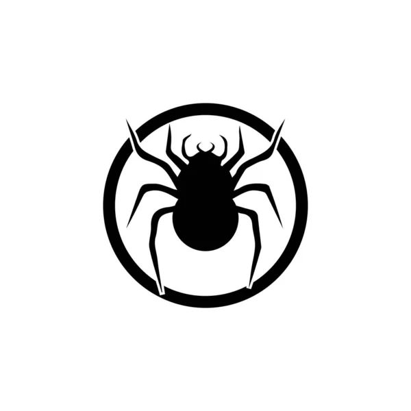 Modelo do vetor do logotipo da ilustração da aranha — Fotografia de Stock