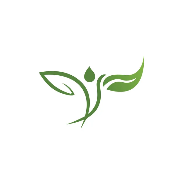 Logo Van Groene Boomblad Ecologie Natuur Element Vector — Stockvector