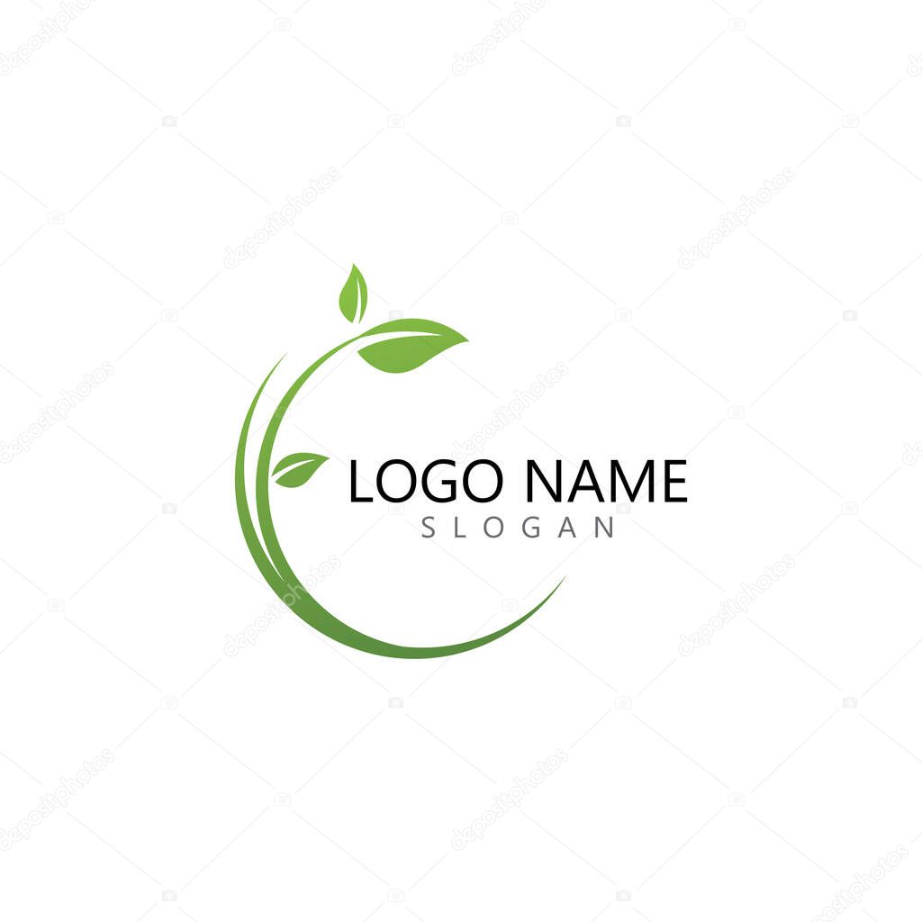 Logos of green Tree leaf ecology nature element vector