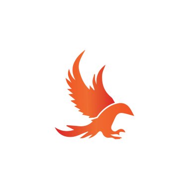 Falcon Logo Şablonu vektör çizimi tasarımı