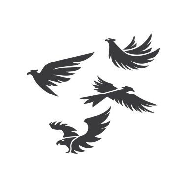 Falcon Logo Şablonu vektör çizimi tasarımı