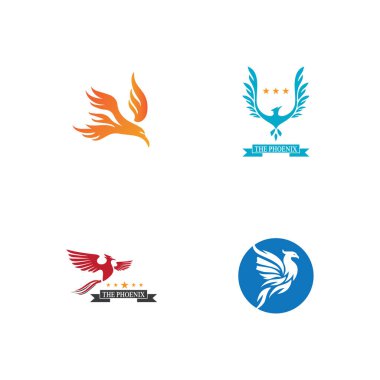 Falcon Logo Şablonu vektör çizimi tasarımı