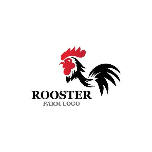 Rooster Logo Template Vector Pictogram Illustratie Ontwerp — Stockvector