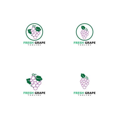 Üzüm logo şablonu vektör illüstrasyon tasarımı