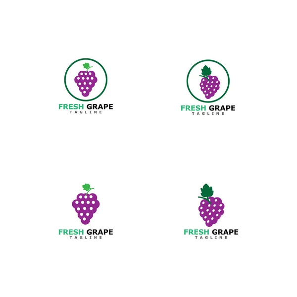 Design Ilustração Ícone Vetor Modelo Logotipo Uvas — Vetor de Stock