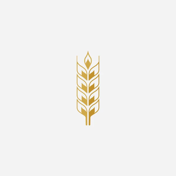 Agricultura Trigo Logotipo Plantilla Vector Icono Diseño — Vector de stock