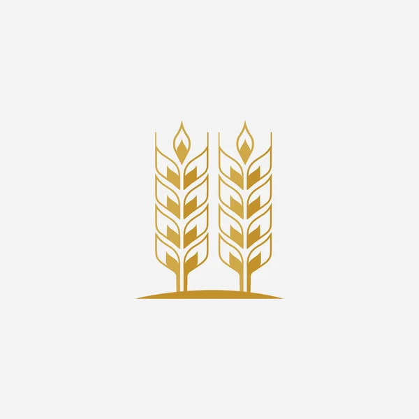 Agricultura Trigo Logotipo Plantilla Vector Icono Diseño — Vector de stock