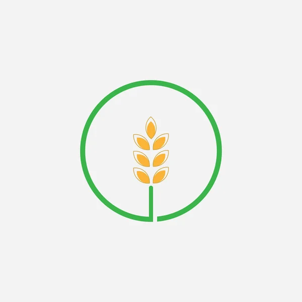 Сільське Господарство Пшениця Логотип Шаблон Векторний Дизайн Значка — стоковий вектор