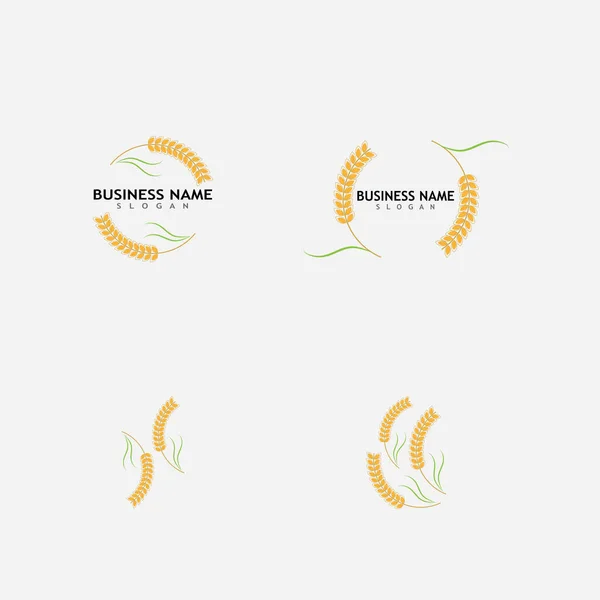 Landbouw Tarwe Logo Template Vector Pictogram Ontwerp — Stockvector