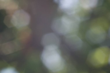 renk soyut dokusu, duvar kağıdı, arkaplan