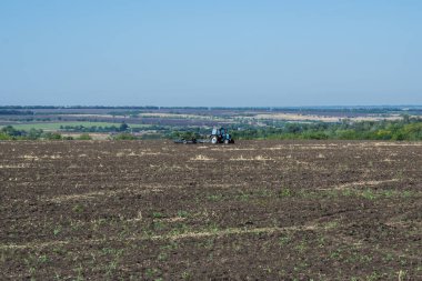 Traktör biçilmiş buğday tarlasını sürüyor.