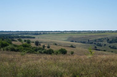 Ukrayna 'nın uçsuz bucaksız manzarası, tepeleri ve çayırlar Ağustos' ta