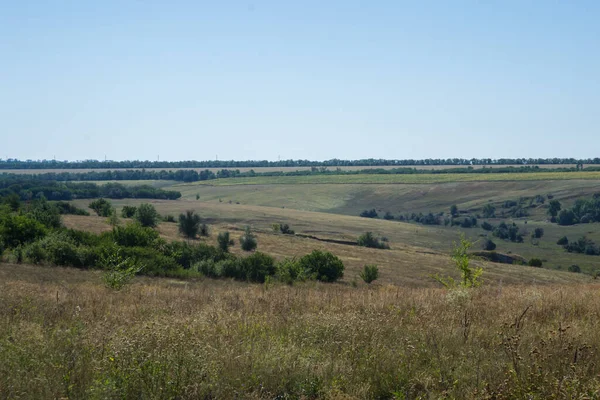 Ukrayna 'nın uçsuz bucaksız manzarası, tepeleri ve çayırlar Ağustos' ta