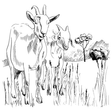 Elle çizilmiş kırsal arazi keçisi ve çocuğu