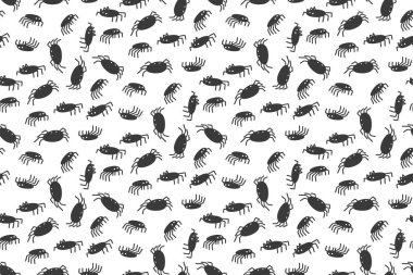 Cadılar Bayramı arkaplansız örümcekler