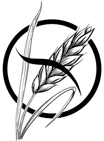 Icono de vector de grano libre de gluten. Símbolo de enfermedad celíaca — Vector de stock