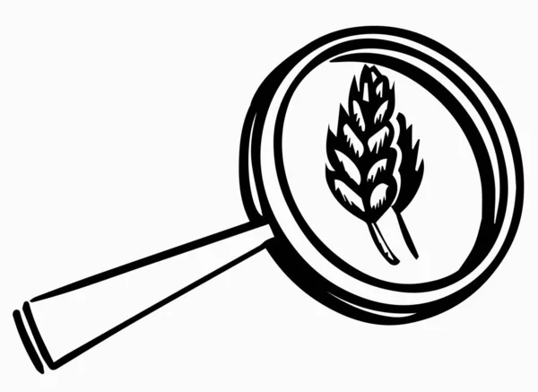 グルテンの隠しソース 小麦と虫眼鏡の耳 落書きスタイルベクトルイラスト — ストックベクタ