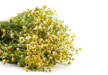 Tıbbi papatya çayı yakın plan beyaz yalıtılmış arka plan, yatay görüş