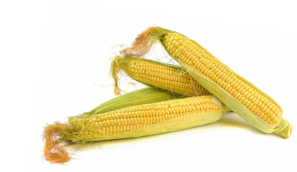 Świeże żółte uszy słodkiej kukurydzy deserowej na białym tle, widok z bliska. — Zdjęcie stockowe