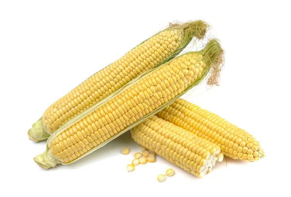 甜食玉米新鲜的黄色耳朵 白色背景 横向视图 — 图库照片