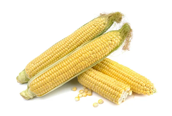 Fresh Yellow Ears Sweet Dessert Corn White Background Close Horizontal — Stock Photo, Image