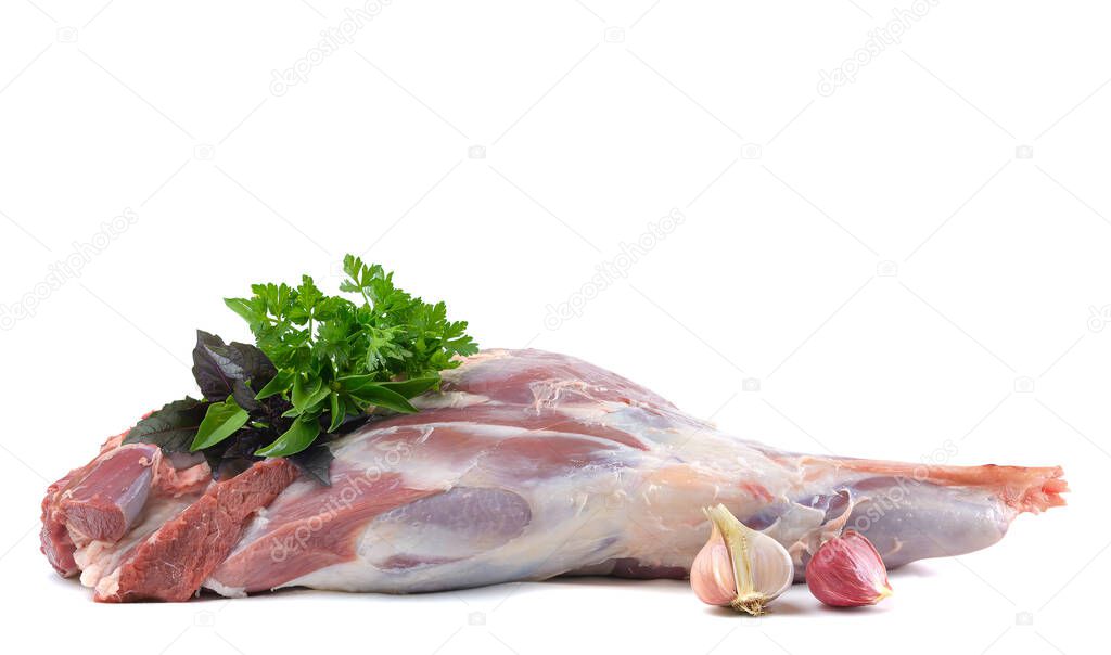 Raw leg of mutton on a bone on a white isolated background. Sheep meat close-up.A fresh piece of mutton. horizontal view.