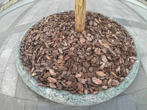 Granit fleuri dans la rue de la ville — Photo