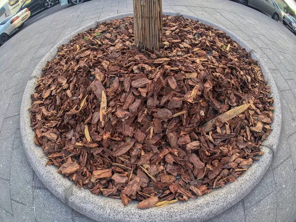 Granit Flowerbed şehrin sokak üzerinde