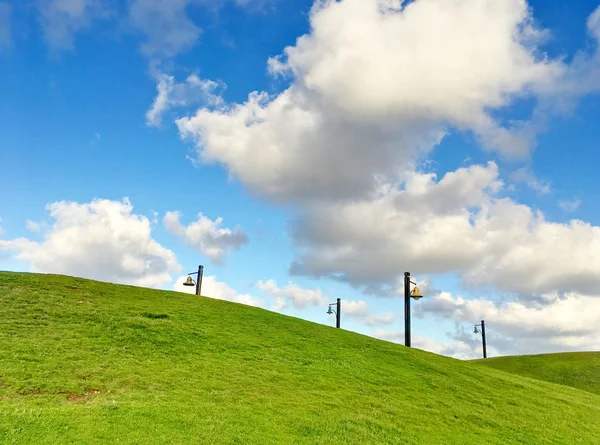 Yeşil çimenli hills