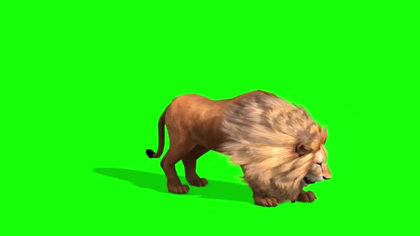 3D lev na zelené obrazovce