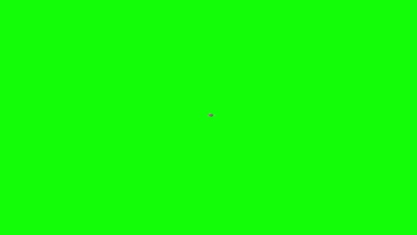 緑の画面上のワニの水泳 — ストック動画