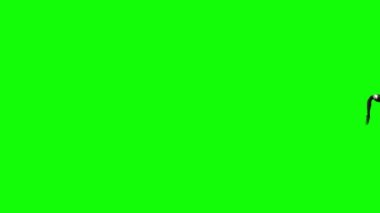 Yeşil Ekranda Uçan Kartal