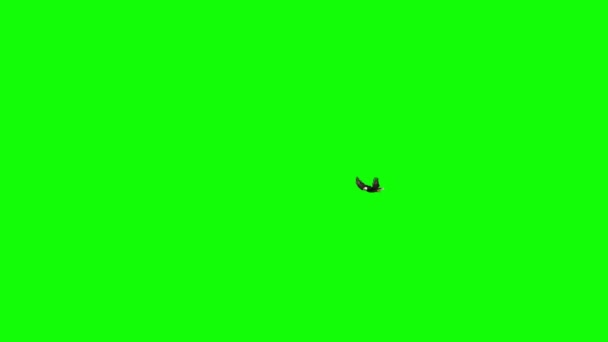 緑の画面でイーグルフライング — ストック動画