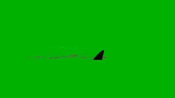 Плавання Акули Зеленому Екрані — стокове відео