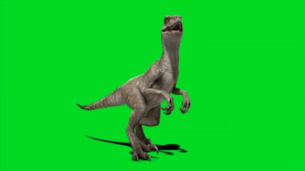 Dinossauro Olhando Para Tela Verde — Vídeo de Stock