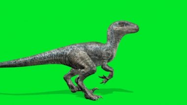 Yeşil Ekran 'a Bakan Dinozor